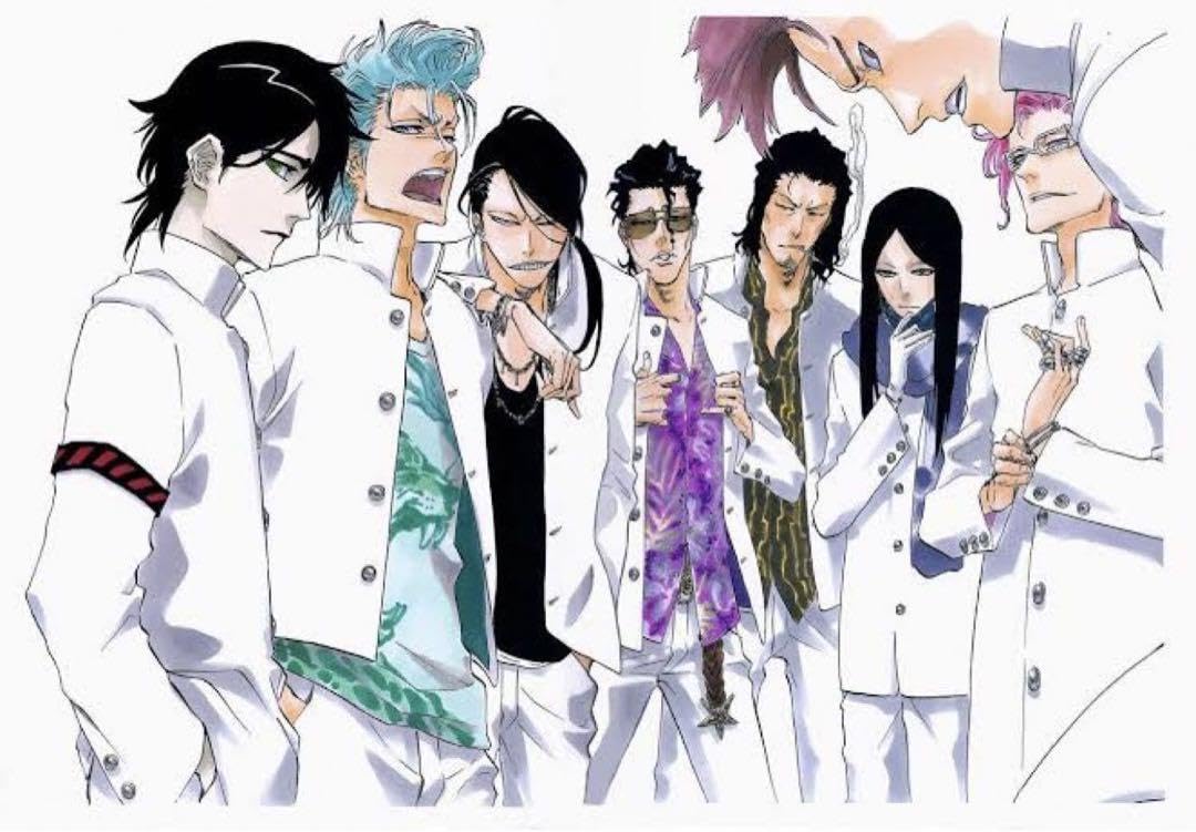 Amazon.co.jp: BLEACH THE HIGHSCHOOL WARFARE タペストリー